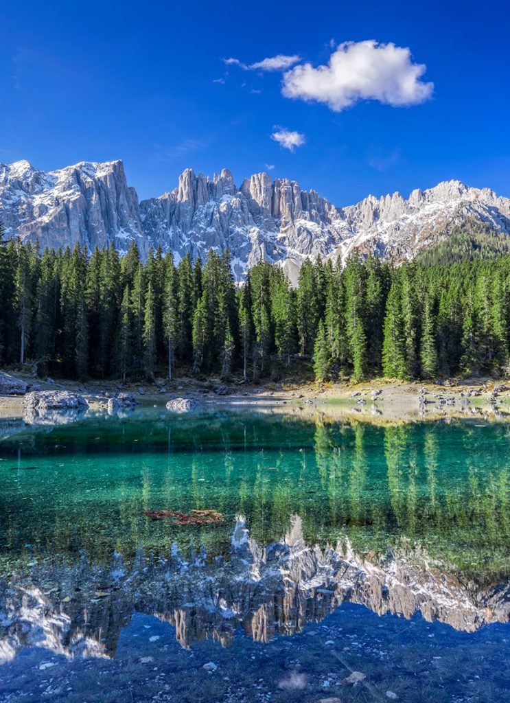 Dettaglio Fiames - Cortina Express